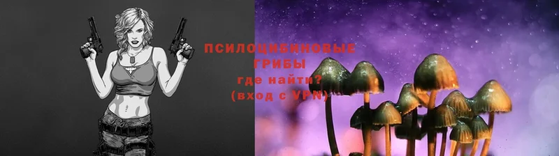 дарк нет состав  как найти   Электрогорск  Галлюциногенные грибы Magic Shrooms  OMG маркетплейс 